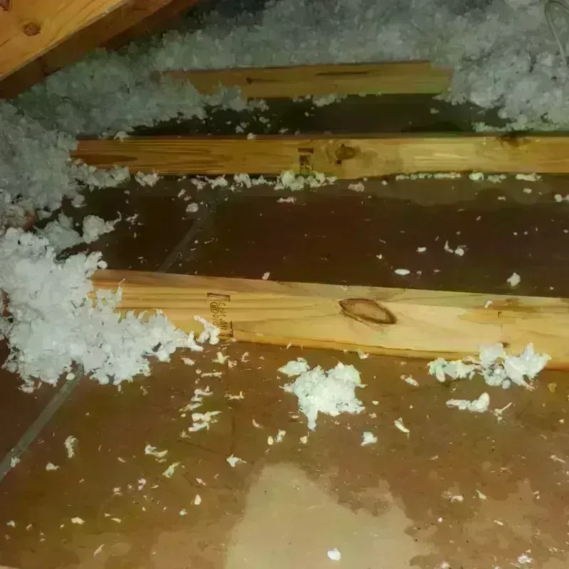 Attic Water Damage in Flomaton, AL